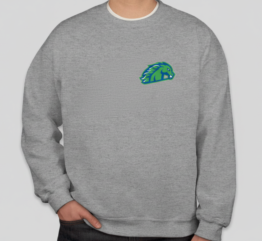 Crewneck Sweatshirt (Small or Large logo)