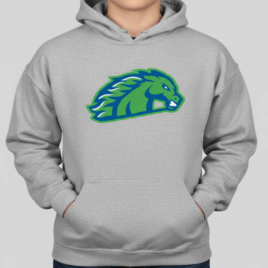 YOUTH Blazers Hoodies (All Designs)