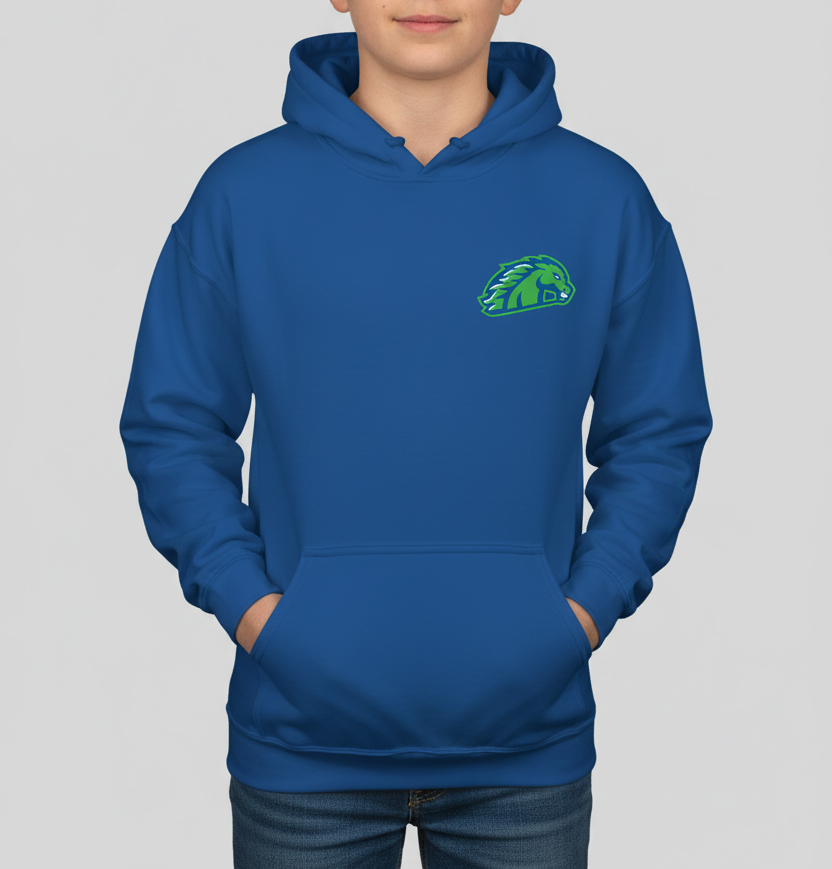 YOUTH Blazers Hoodies (All Designs)