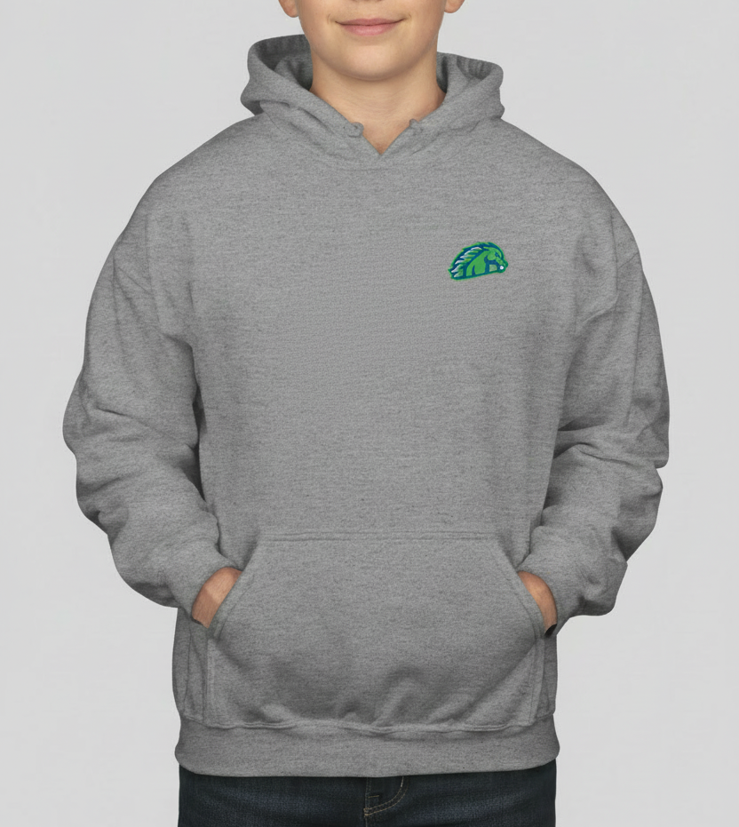 YOUTH Blazers Hoodies (All Designs)