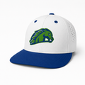 Blazers Logo Snap Back Hat